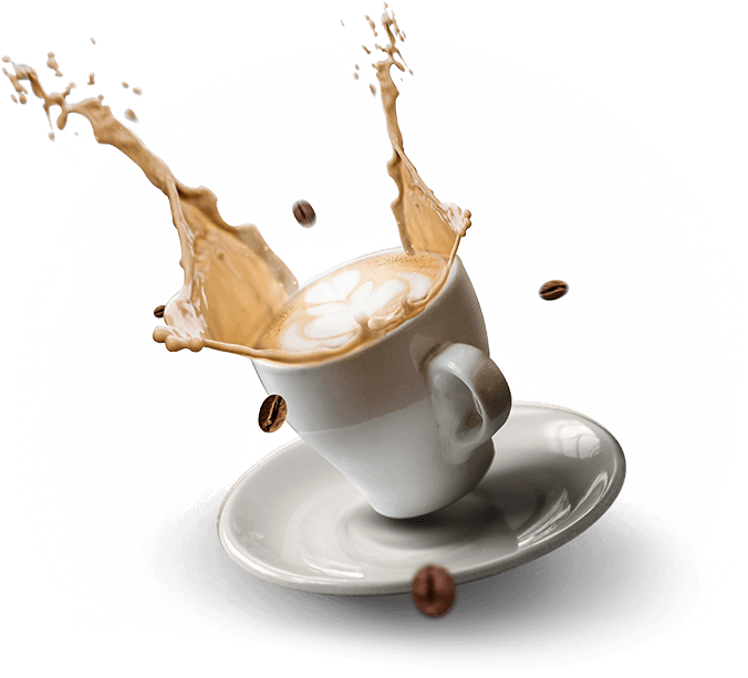 franchise kopi premium